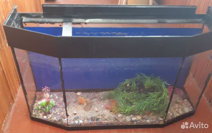 Аквариум гнутый заводской