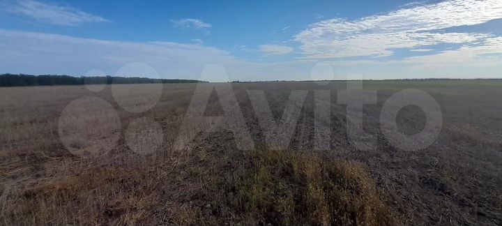 Участок 13,01 га (СНТ, ДНП)