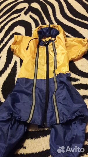 Одежда для маленькой собачки