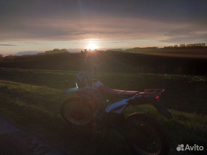 Wels 250 mx
