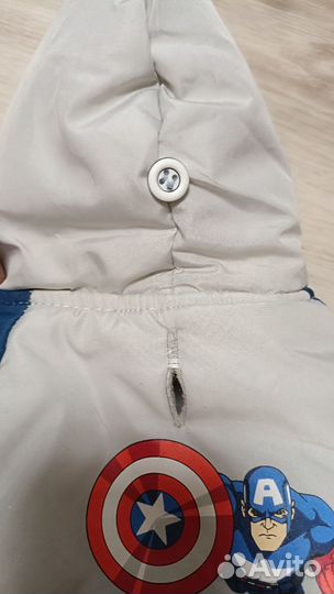 Одежда для собак