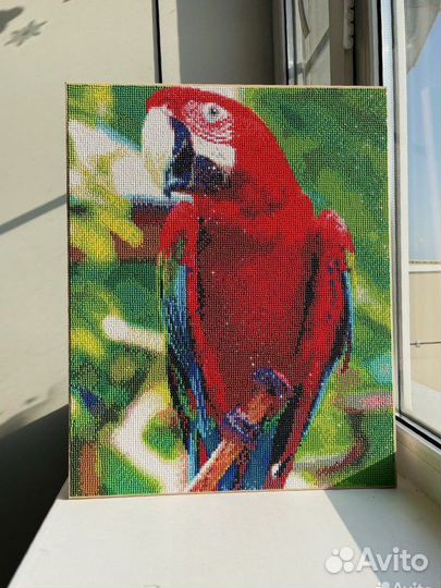 Алмазная мозаика готовая попугай