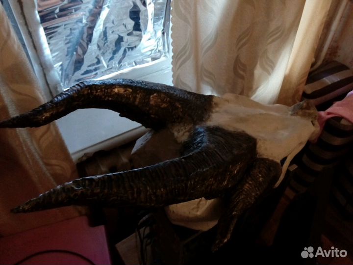 Драконий череп из Skyrim