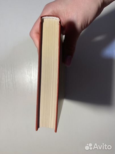 Ирвинг Стоун Жажда жизни