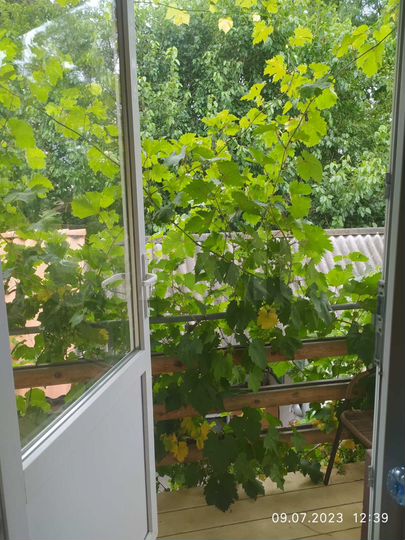 Комната 16 м² в 1-к., 2/2 эт.