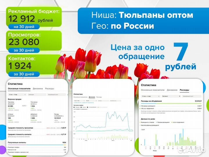 Услуги авитолога