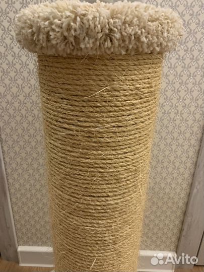 Когтеточка