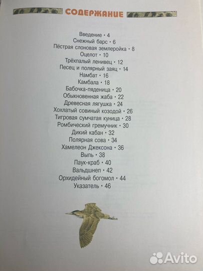 Книга «Тайны живого мира»