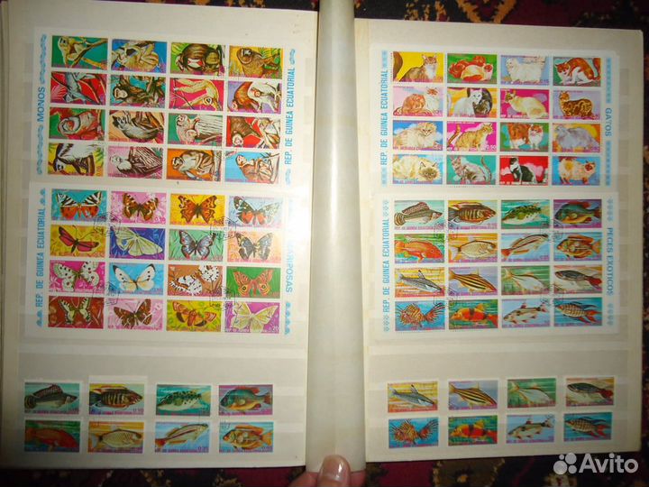 Марки фауна альбом марки Бурундии и Гвинеи