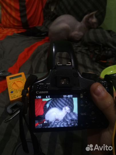 Зеркальный фотоаппарат Canon 450d