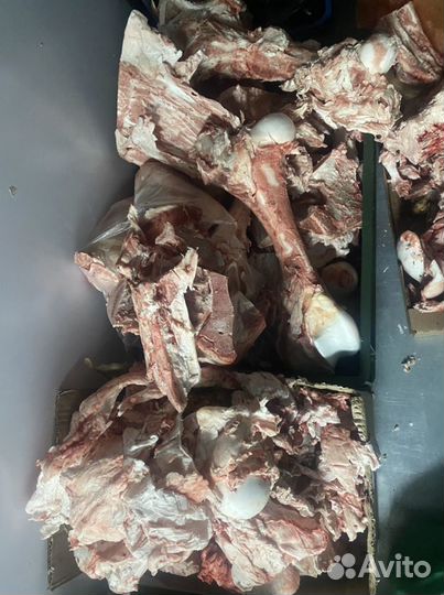 Обрезки,кости говядины,баранины