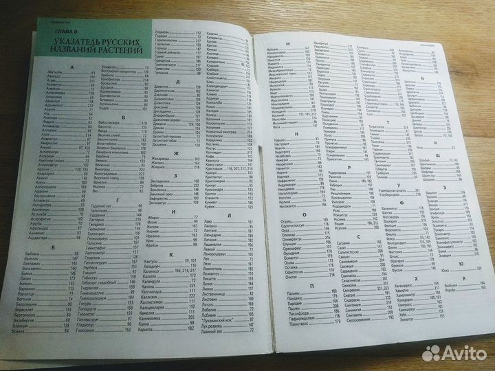 Книга - Всё о комнатных растениях