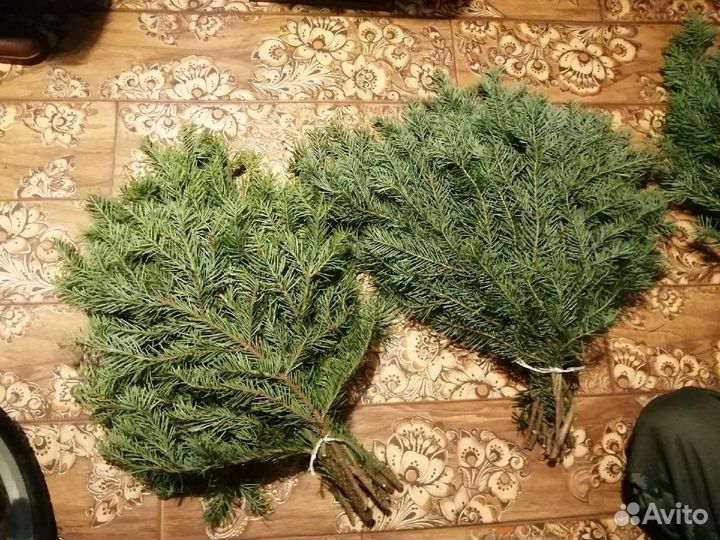 Пихтовые веники для бани
