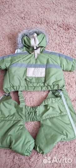 Верхняя одежда на йорка