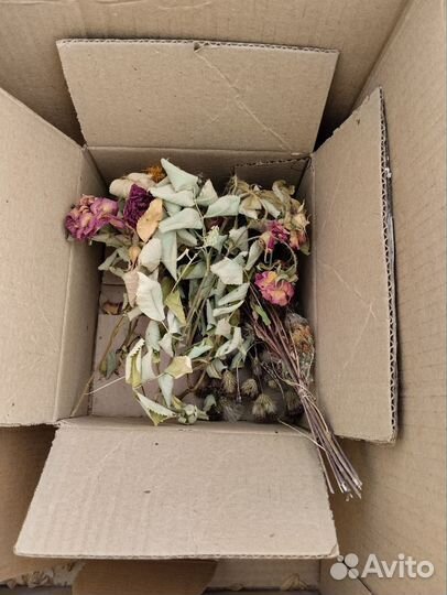 Сухоцветы (для дизайнерской бумаги и эпоксидки)