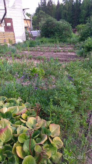 Участок 6 сот. (СНТ, ДНП)