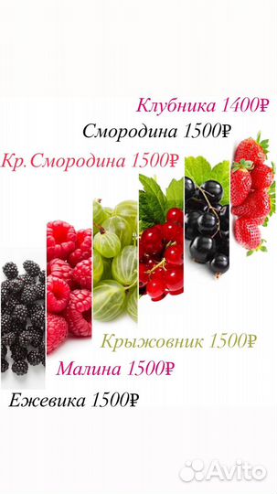 Клубника свежая ягода