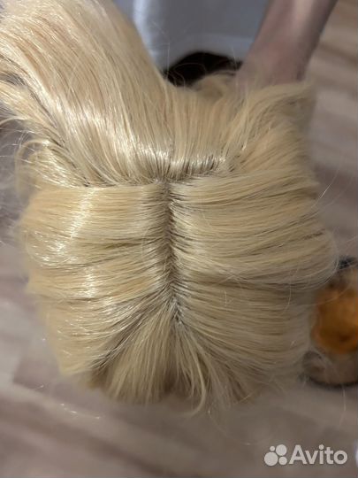 Косплей бсд Элис