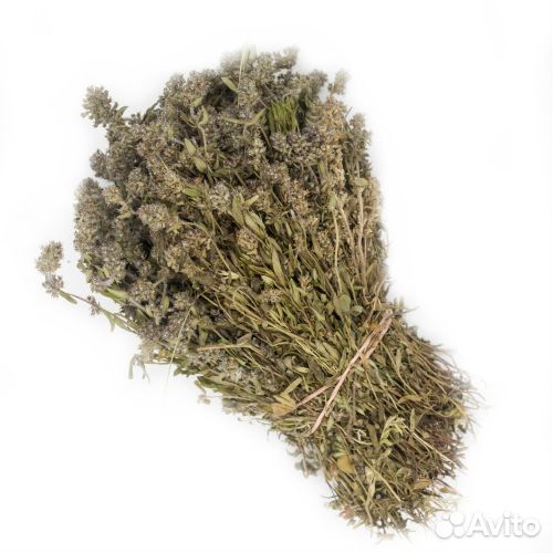 Травы для бани