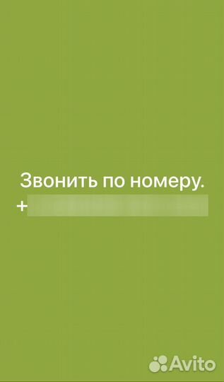 Быки и телки