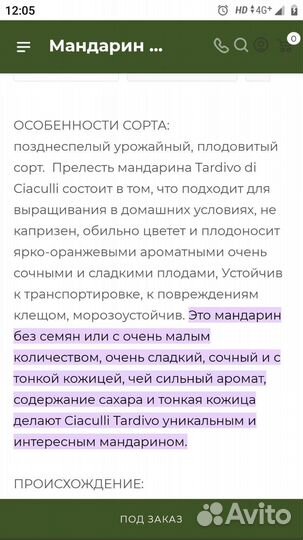 Мандарин привитый Тардиво