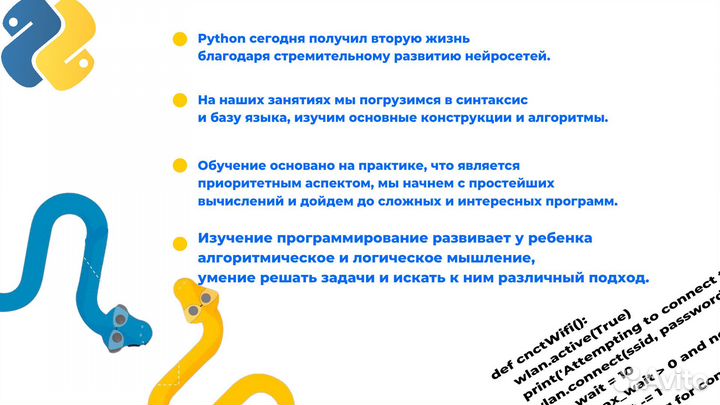 Репетитор по программированию на python