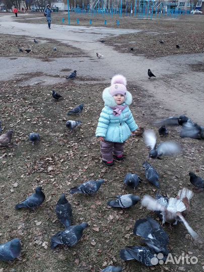 Костюм зимний GNK