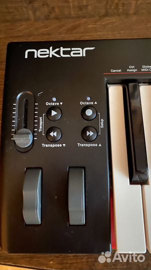 Nectar se49