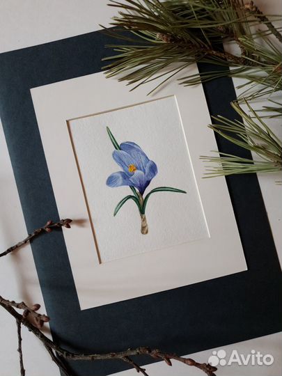 Картина. Крокус весенний. акварель. миниатюра