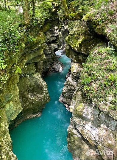 Тур в Грузию