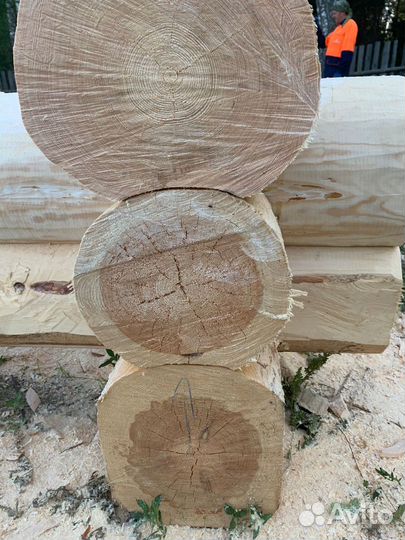 Рубка срубов