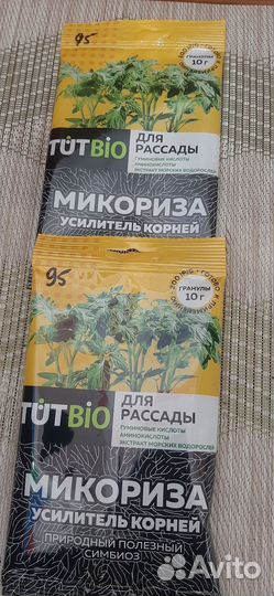 Микориза