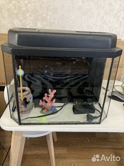 Аквариум 20л