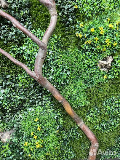 Фитокартина искуственная