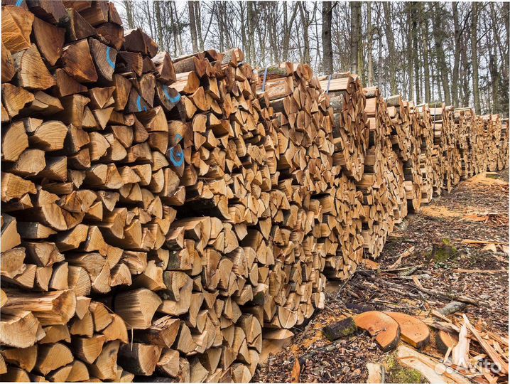 Дрова березовые с доставкой