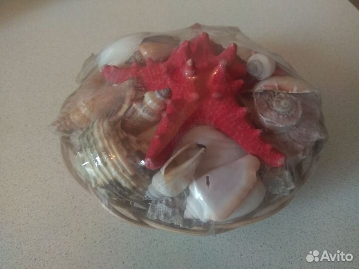 Раковины для аквариума / поделок