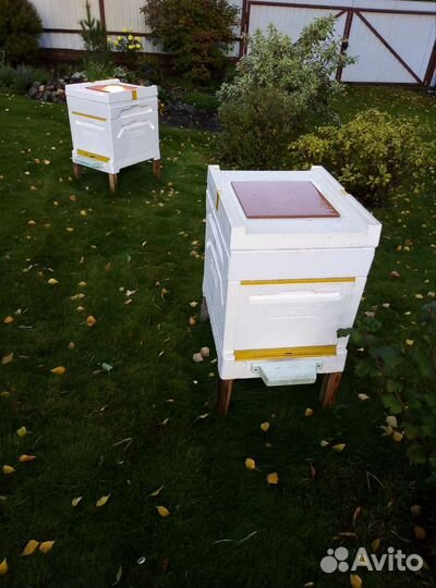 Улей с пчелами