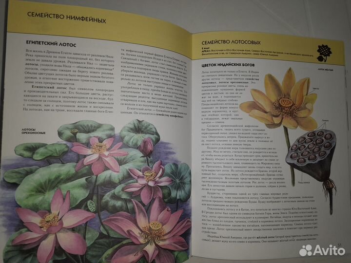 Полная Энциклопедия Растения