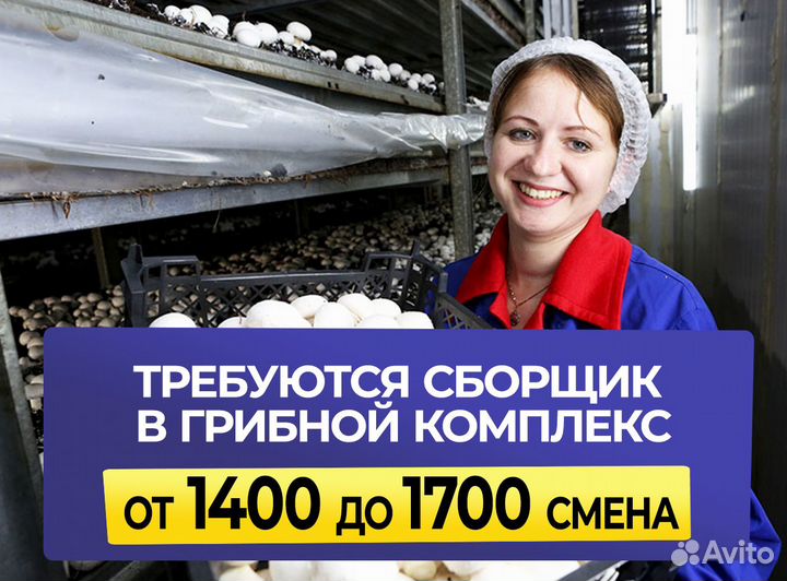 Сборщики в грибной комплекс, без опыта, студенты