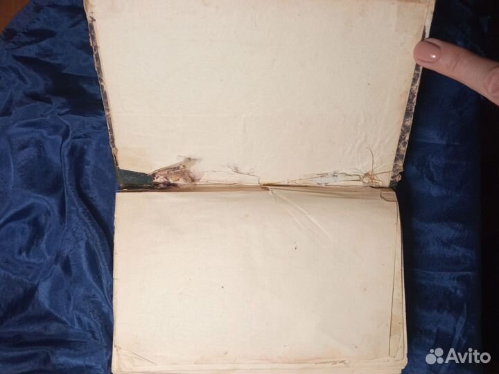 Книга лечебник домашних животных 1904 год Шмулевич