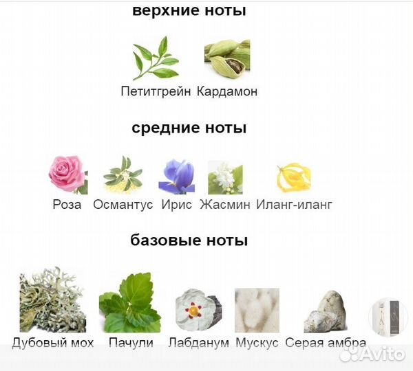 Редкие Винтажные Духи (Eau de Parfum) Genny