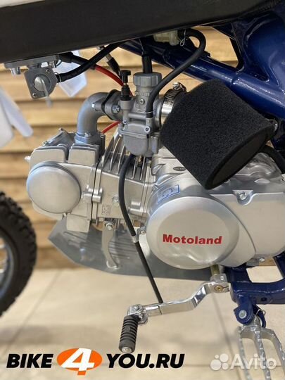 Питбайк Motoland NX125 19/16