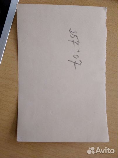 Троцкий Л. Д. Вождь революции