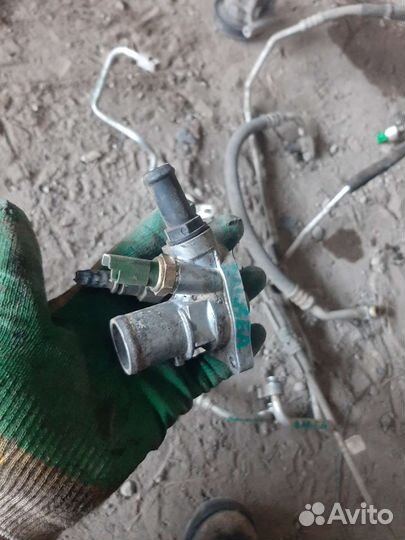 Фиат альбея термостат