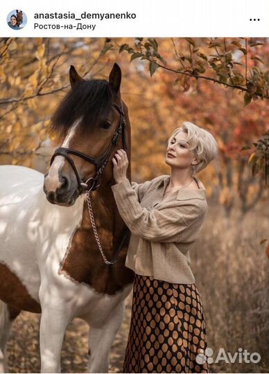 Стильные фотосессии с лошадьми