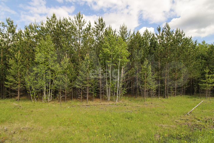 Участок 20 сот. (СНТ, ДНП)