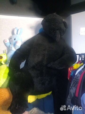 Большие плюшевые медведи