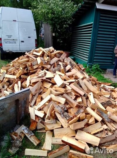 Дрова понимающих