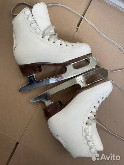 Коньки Wifa Prima set 31