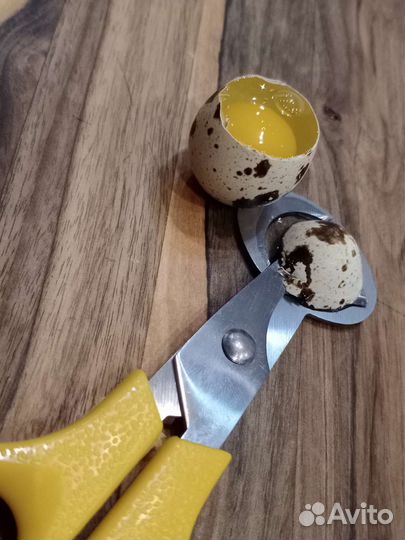 Яйца,мясо перепелиные